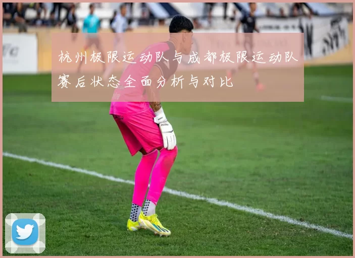 杭州极限运动队与成都极限运动队赛后状态全面分析与对比