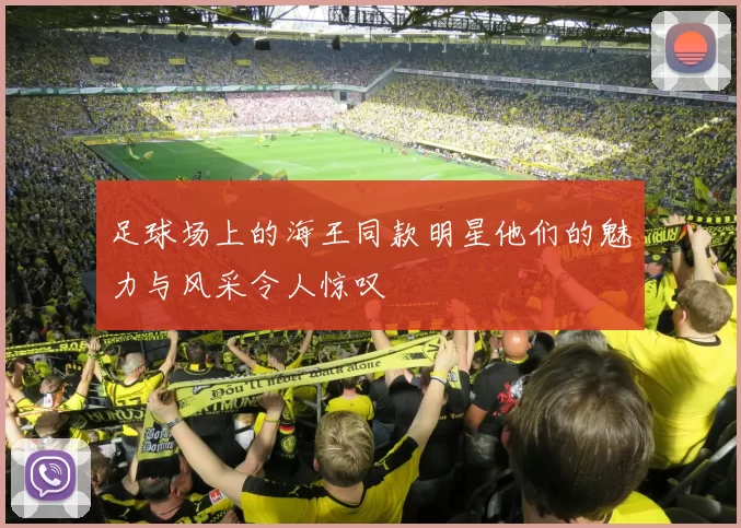 足球场上的海王同款明星他们的魅力与风采令人惊叹