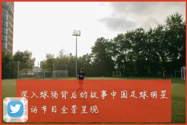深入球场背后的故事中国足球明星专访节目全景呈现