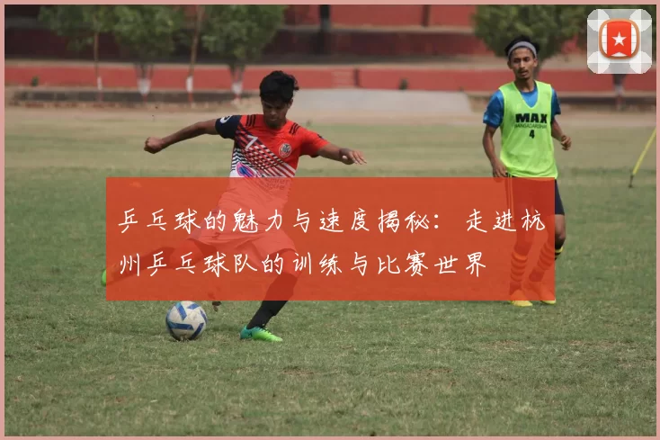 乒乓球的魅力与速度揭秘：走进杭州乒乓球队的训练与比赛世界