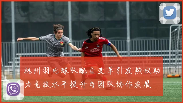 杭州羽毛球队配合变革引发热议助力竞技水平提升与团队协作发展
