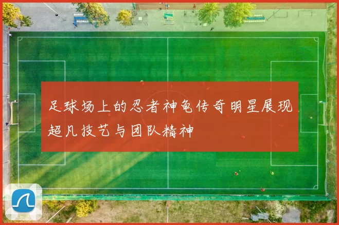 足球场上的忍者神龟传奇明星展现超凡技艺与团队精神