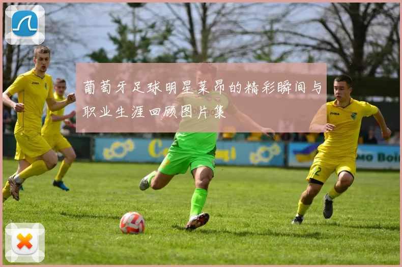 葡萄牙足球明星莱昂的精彩瞬间与职业生涯回顾图片集