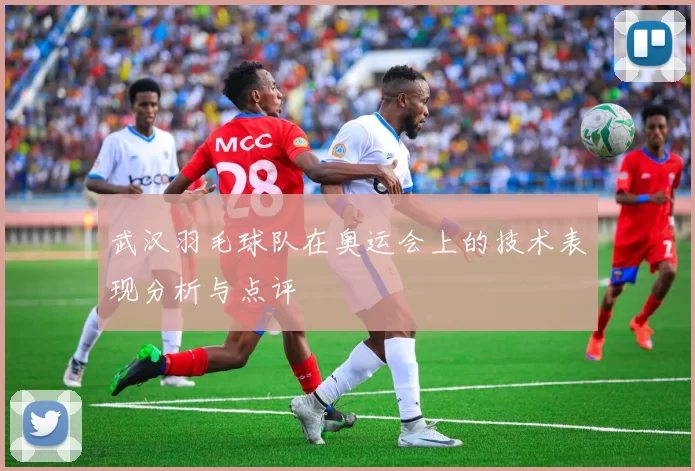 武汉羽毛球队在奥运会上的技术表现分析与点评