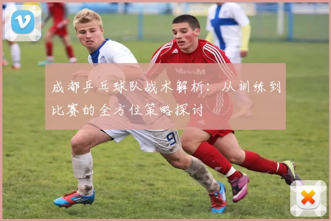 成都乒乓球队战术解析：从训练到比赛的全方位策略探讨