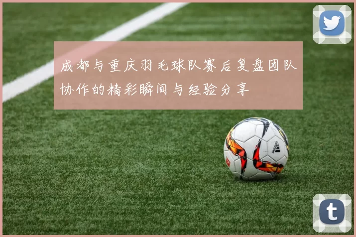 成都与重庆羽毛球队赛后复盘团队协作的精彩瞬间与经验分享