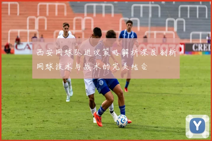 西安网球队进攻策略解析深度剖析网球技术与战术的完美结合