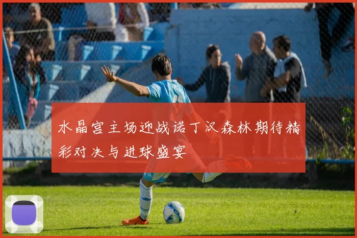 水晶宫主场迎战诺丁汉森林期待精彩对决与进球盛宴