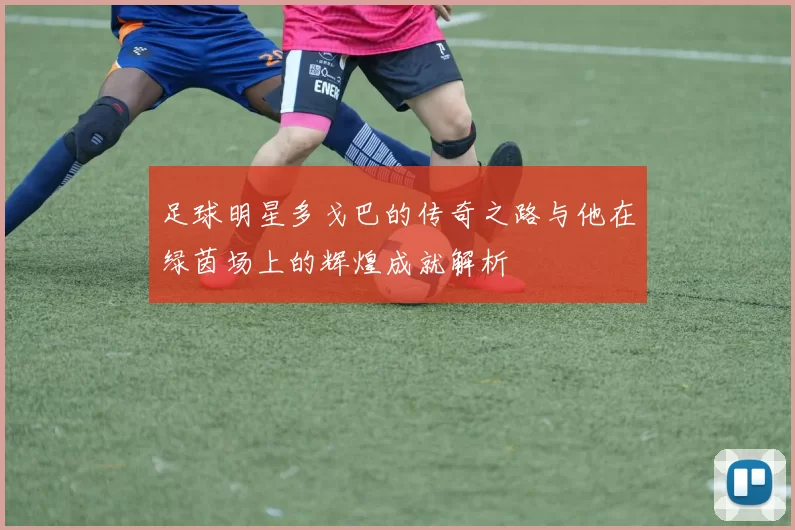 足球明星多戈巴的传奇之路与他在绿茵场上的辉煌成就解析