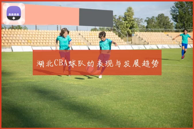 湖北CBA球队的表现与发展趋势