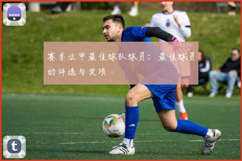 赛季法甲最佳球队球员：最佳球员的评选与奖项
