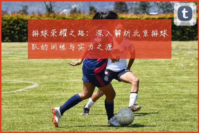 排球荣耀之路：深入解析北京排球队的训练与实力之源