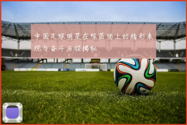 中国足球明星在绿茵场上的精彩表现与奋斗历程揭秘