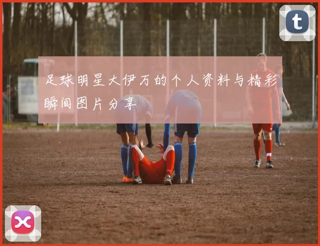 足球明星大伊万的个人资料与精彩瞬间图片分享