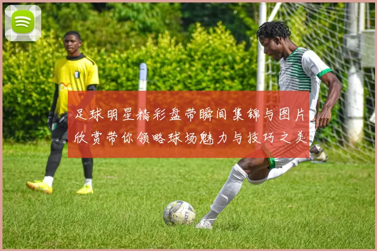 足球明星精彩盘带瞬间集锦与图片欣赏带你领略球场魅力与技巧之美