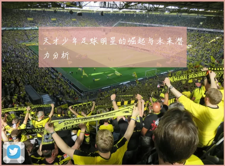 天才少年足球明星的崛起与未来潜力分析
